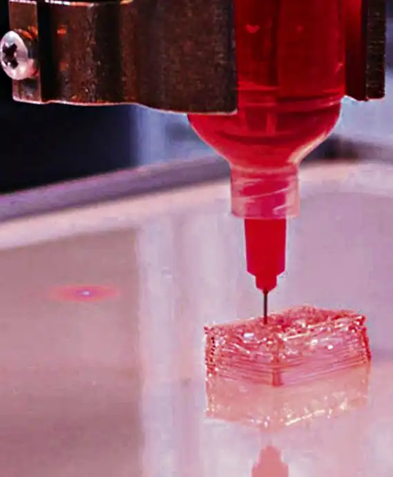  Bio 3D printer extruding hydrogel bioink for tissue printing