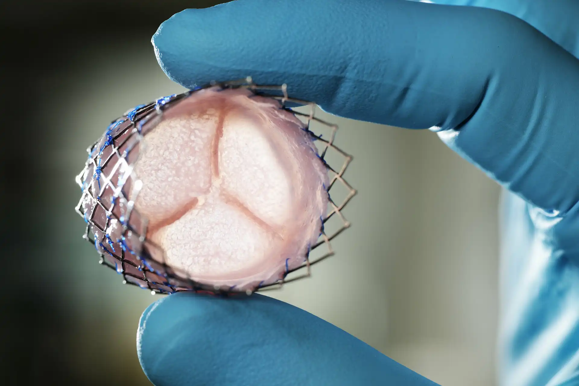 Bio 3D printed tissue construct for lab testing