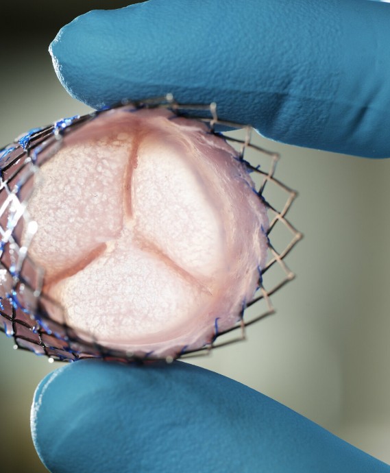 Bio ATOM Bio 3D Printer