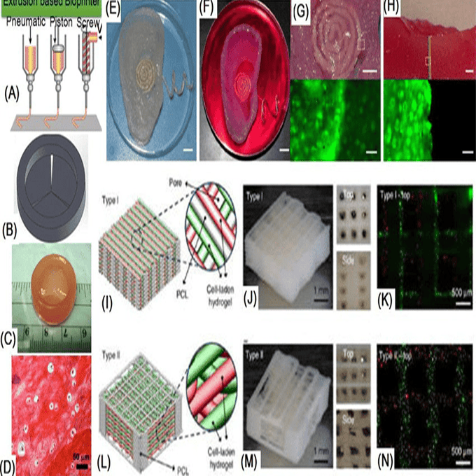 Bio ATOM Bio 3D Printer