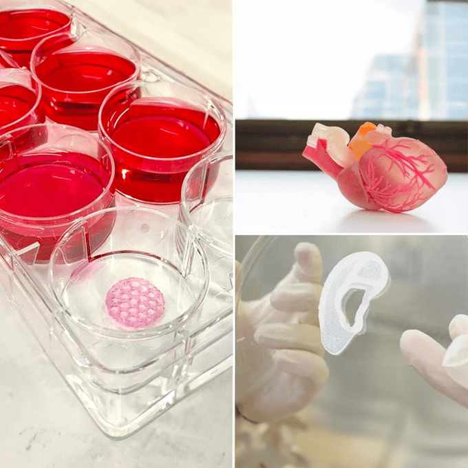 Bio ATOM Bio 3D Printer