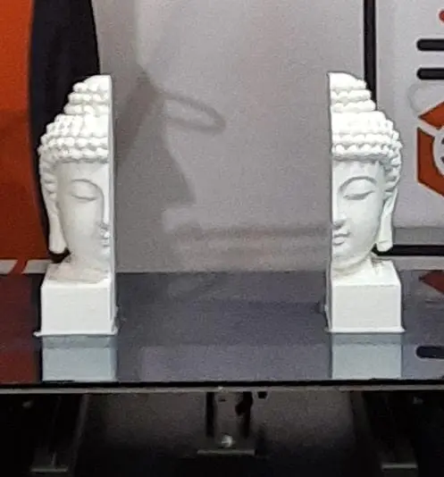 Mirror mode print on DP300